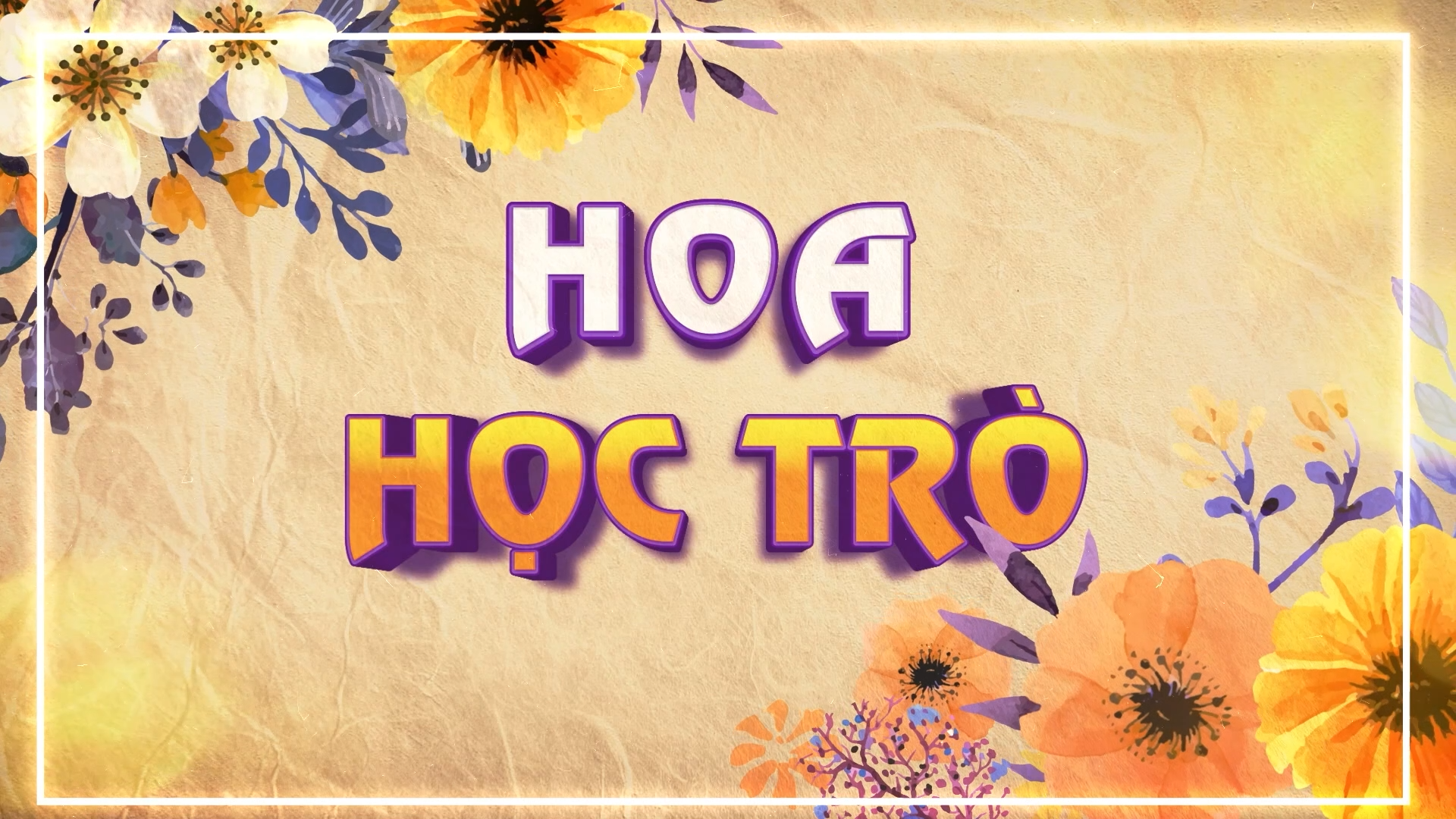 Hoa học trò (18.05.2025)